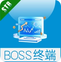 BOSS终端